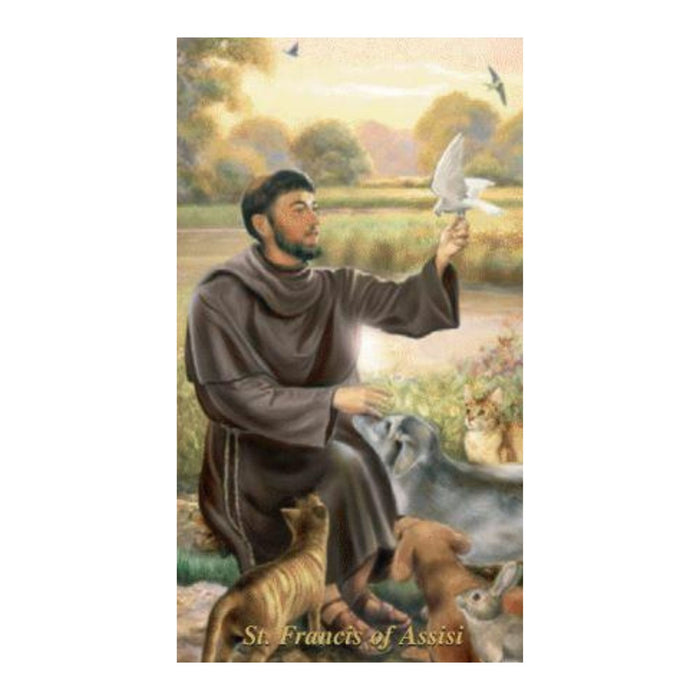 St Francis Loss of Pet Holy Card
