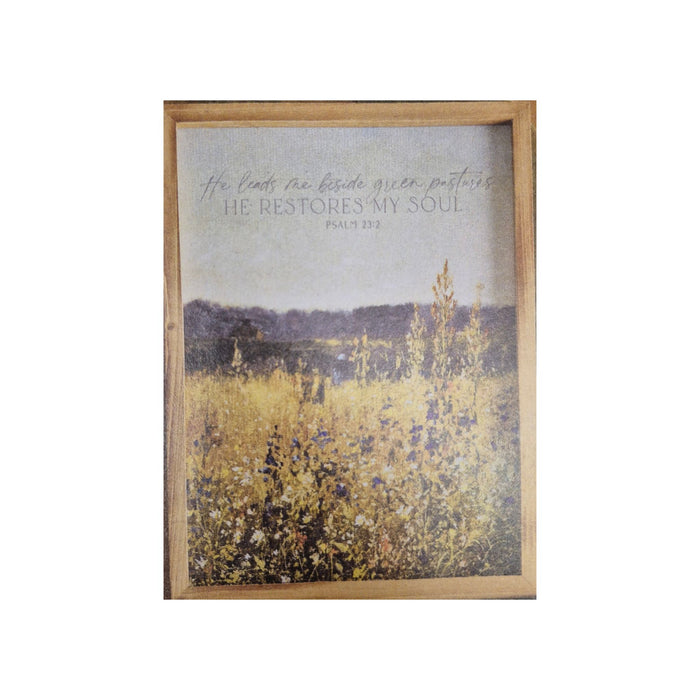 Psalm 23 Framed Art