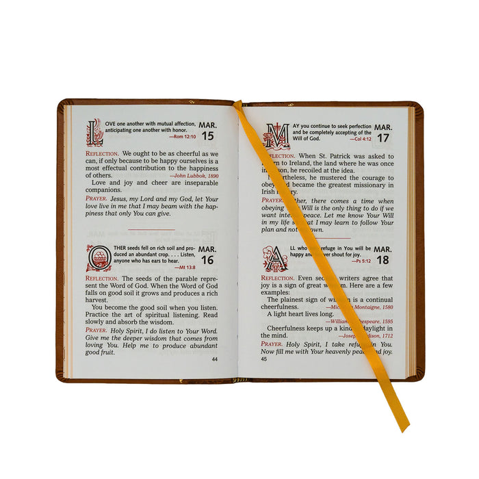 Joyfully Living The Gospel Day By Day