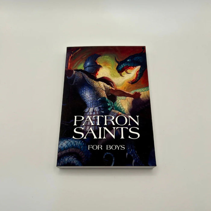 Patron Saints for Boys by Erwin Steinback