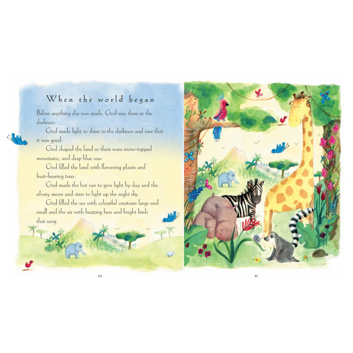 A Child's Bible By Sally Ann Wright