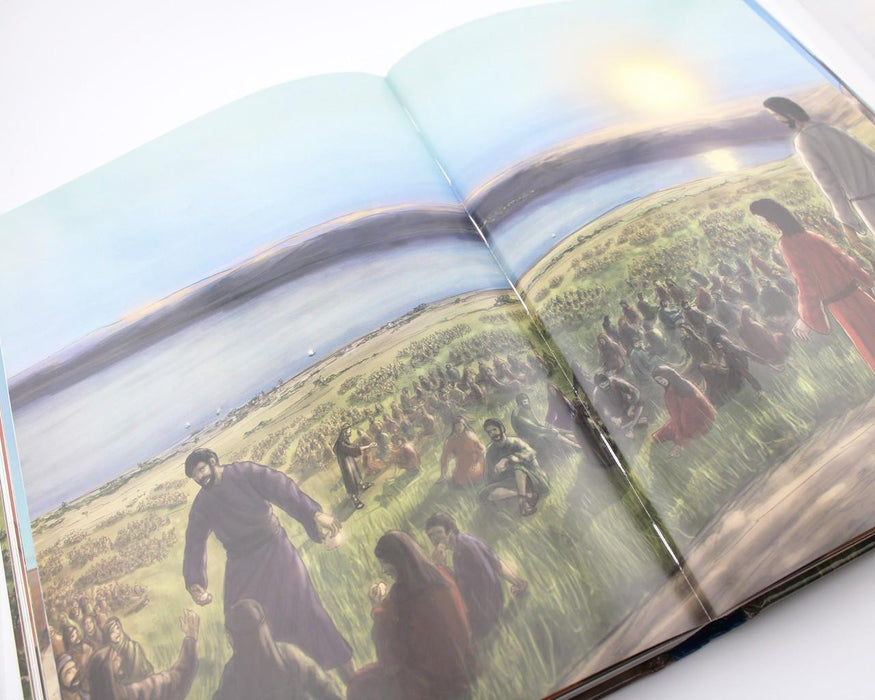 NEW CATHOLIC ILLUSTRATED BIBLE
