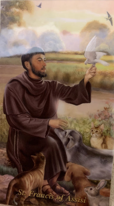 ST FRANCIS - LOSS OF PET