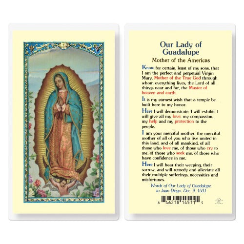 GUADALUPE MOTHER OF THE AMERICAS HOLY CARD